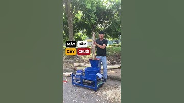 Băm Thân Cây Chuối Siêu Tốc Với Máy Băm Chuối Đa Năng Bình Minh