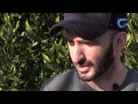 ბლიც-ინტერვიუ / Giorgi Kekelidze / გიორგი კეკელიძე