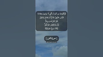سورة النور الآية ٥٩ و ٦٠ بصوت الشيخ محمد صديق المنشاوي