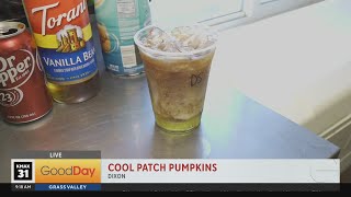 Cool Patch Pumpkins, 9am