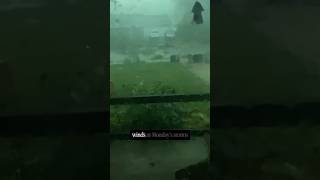 Storms topple 60-foot trees, knock out power in Orland Park