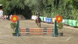 10082013 Zellik Riding Club 70Cm