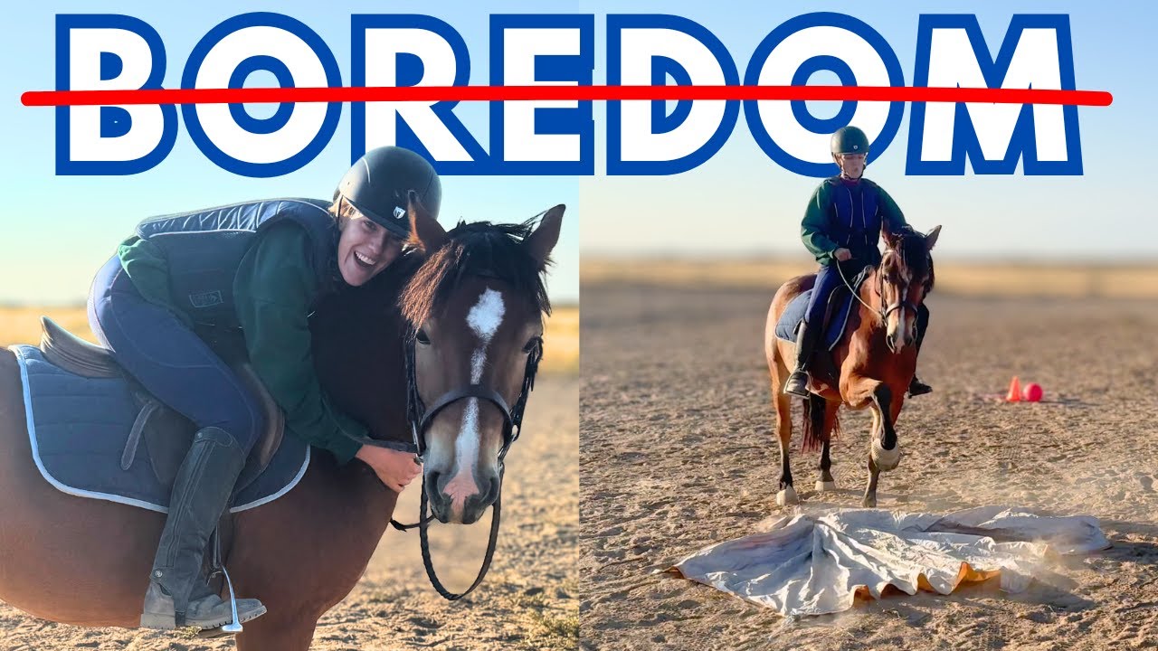 Bored Horse Hacks! (Easy Exercises)