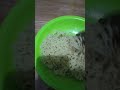 Vlog