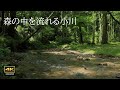 4K 自然風景+ASMR 森の中を流れる小川の音