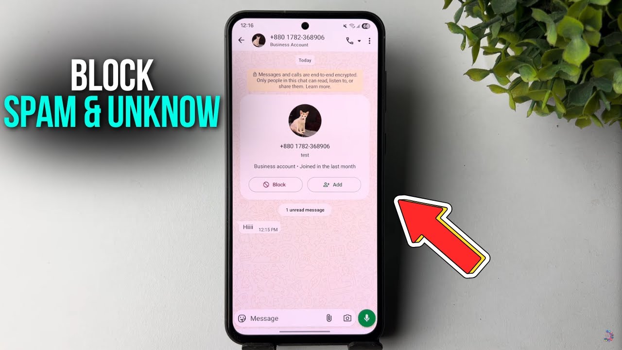 Как заблокировать спам-сообщения и неизвестные звонки в WhatsApp