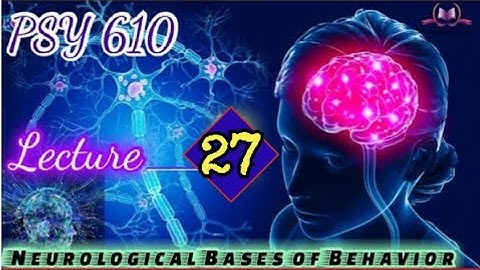 PSY610 || Lecture 27 || Neurological Bases of Behaviour || Short Lecture || VU Lectures