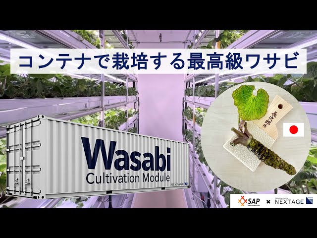 受渡し者が決定しました!!物置とパレット 製品詳細 | 検索結果一覧 | 製品検索 | 製品情報 | 三甲株式会社