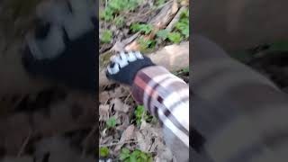 🐾🍃🌀🌳 #fypシ #nature #therian #furry #exploring #kandi #peaceful #antiz00 #gear