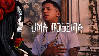 Ponto de Rosa Caveira - Uma roseira...💀🌹❤️