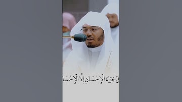 ﴿كَأَنَّهُنَّ الياقوتُ وَالمَرجانُ﴾ الشيخ ياسر الدوسري سورة الرحمن