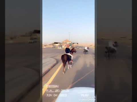 مسيرة مربط فرسان الوادي في اول ايام عيد الفطر المبارك وادي الدواسر 