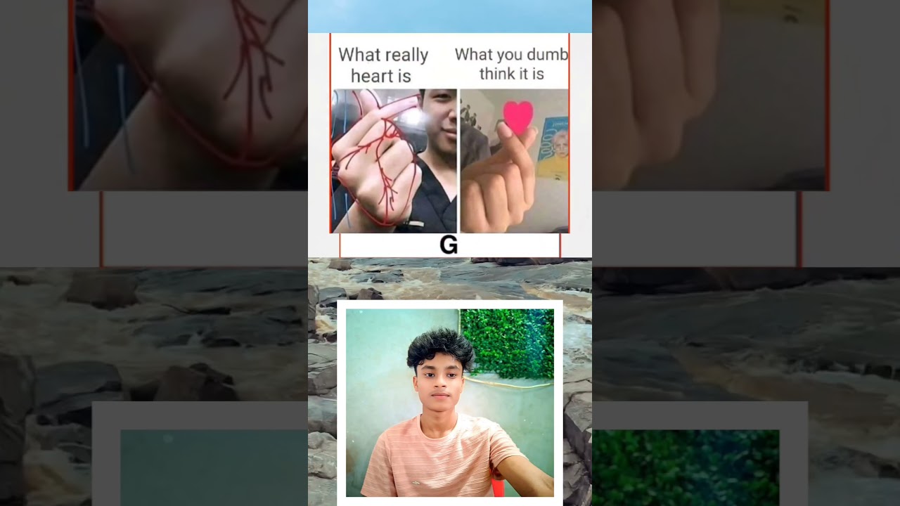 What really heart is What you dumb think it is 