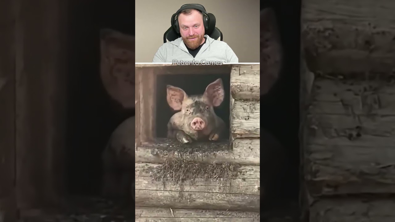 Петренто шашлык #петренто #petrento #реакция #прикол #приколы #мем #мемы #юмор #смех #memes #funny