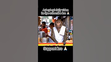 monkey vlog 🐒#trending #viralvideo #shorts #monkey #monkeyvlog #vlog #cartoon #cute #vlog #monkeys