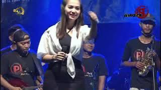 COVER WIL VOC. ANI ANJANI