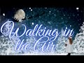 Walking in The Air - Celtic Harp and Voice