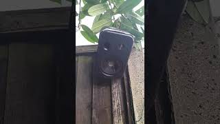 JBL Control 1 Pro #buitenluidsprekers