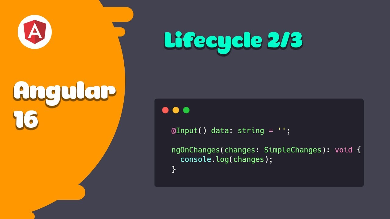 Angular 16 - Lifecycle 2/3 - YouTube