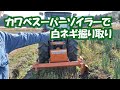 カワベスーパーソイラーで白ネギ掘り取り20/11/18＃1107