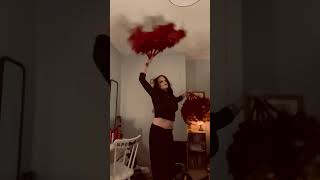 IMG 7526