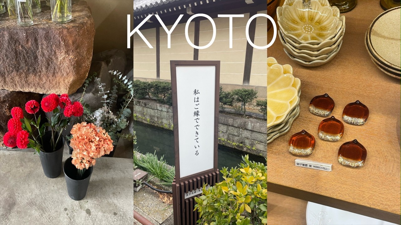 교토랑 100일째 ❤️‍🩹 나의 교토 일상 브이로그 (푸글렌 교토 fuglen kyoto)