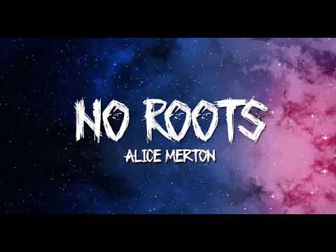Alice Merton _ No Roots (lyrics)