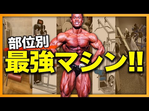 If I could only choose one, it would definitely be this one. - YouTube