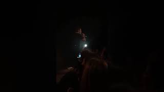 Movies - Witt Lowry live @ Ghent