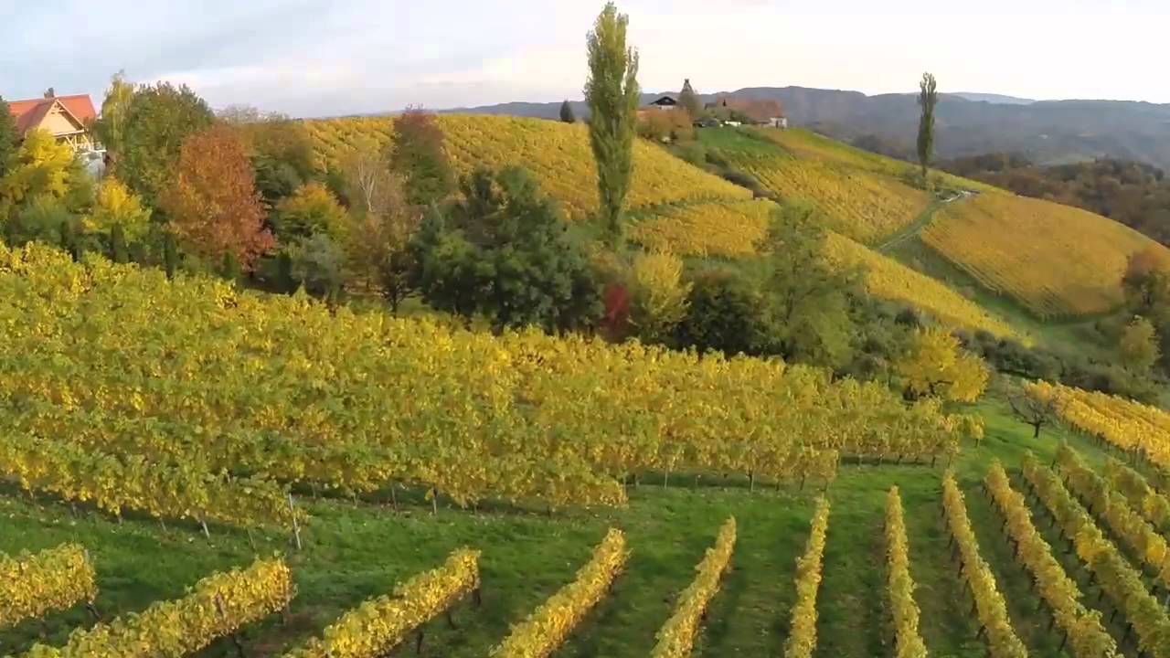 Styrian Vineyards