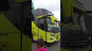 Bis Telolet Basuri Masha And The Bear basuri shorts busmania trending telolet