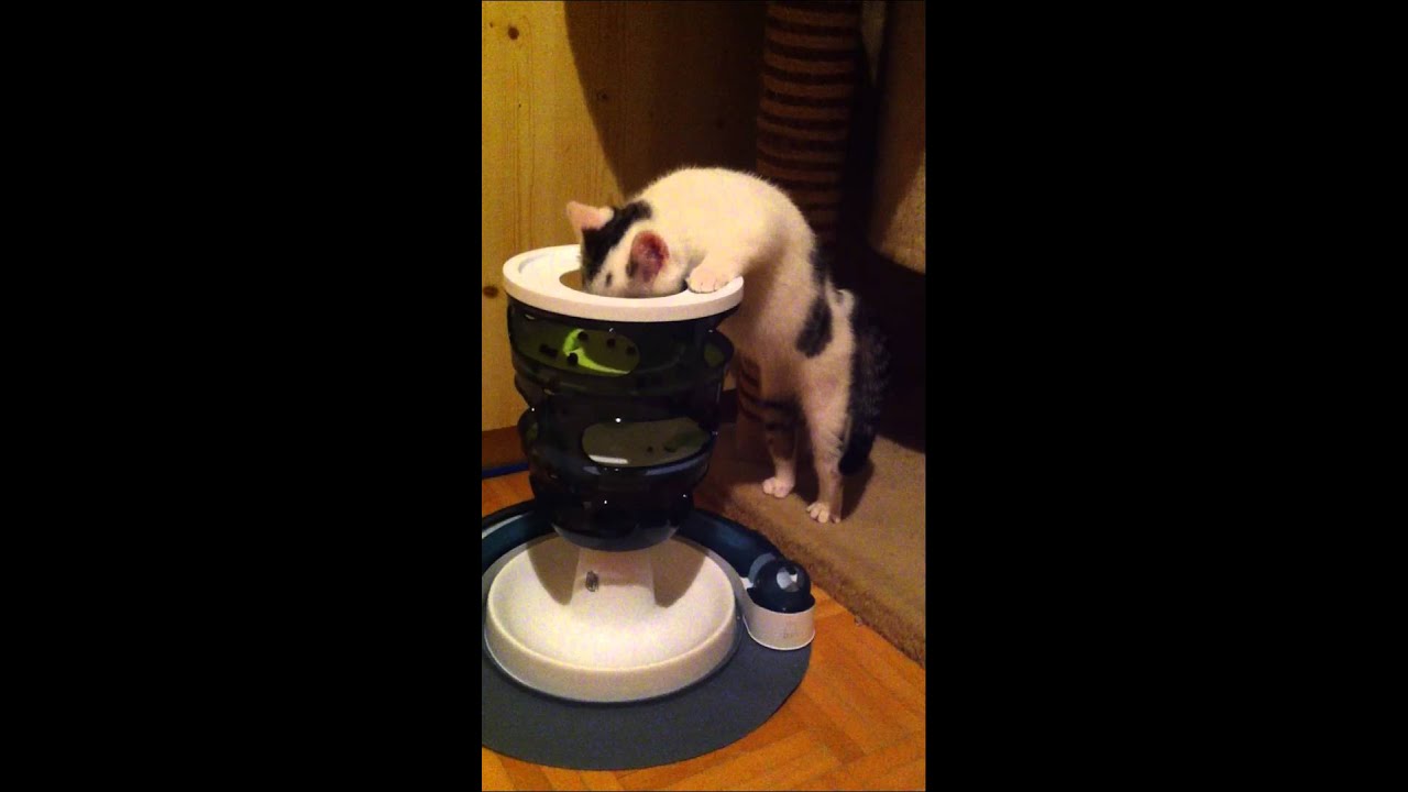 Walt & der Futterturm