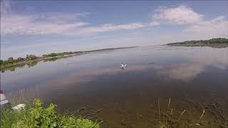 Icon A5 Float Fly withg Bruce