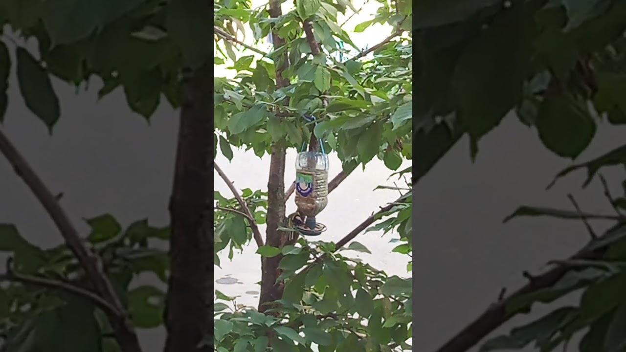 Бар открылся!