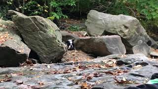 Indian Rock Wilmington Delaware
