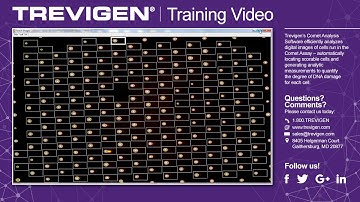 Trevigen Comet Analysis Software- Training Video