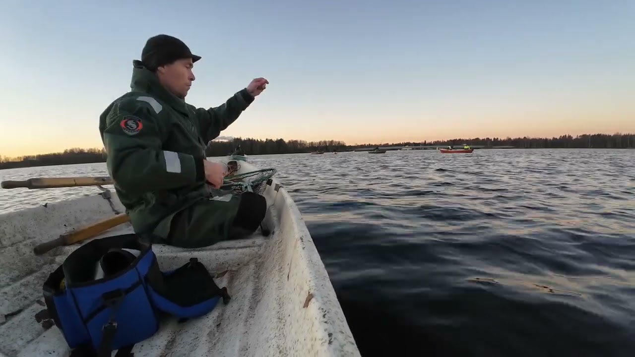 Siian venepilkintää Oulussa Hartaanselällä