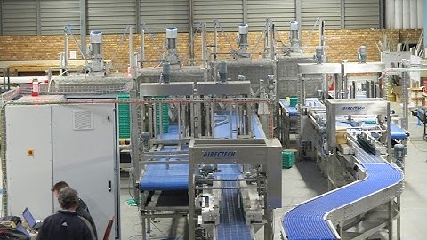 Crate Processing Machine