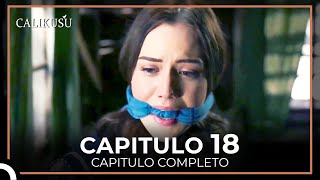 Calikusu Capitulo 18