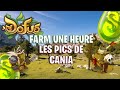 Dofus farm une heure les champs de cania  plaines de cania  6