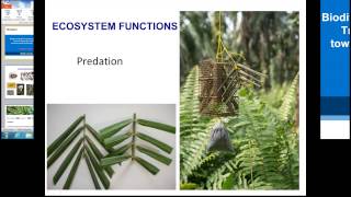 Biodiversity-Ecosystem Function in Tropical  Agriculture