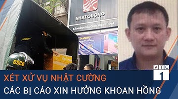 xét xử đại án Nhật Cường: Các bị cáo cấp dưới của Bùi Quang Huy xin hưởng khoan hồng