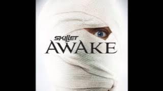 Skillet - Its Not Me It's You [HQ]