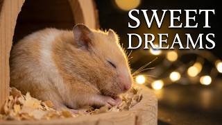 Fall Asleep in Minutes with a Tiny Resting Hamster