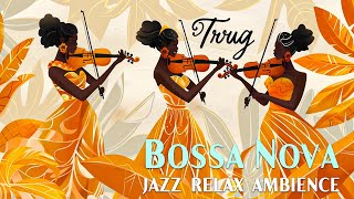 Bossa Nova Melody ~ Relaxing Bossa Nova Jazz Under the Palm Trees ~ Bossa Nova May