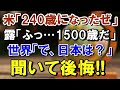 تحميل أغنية 野獣先輩 海外の反応 Mp3 Mp4