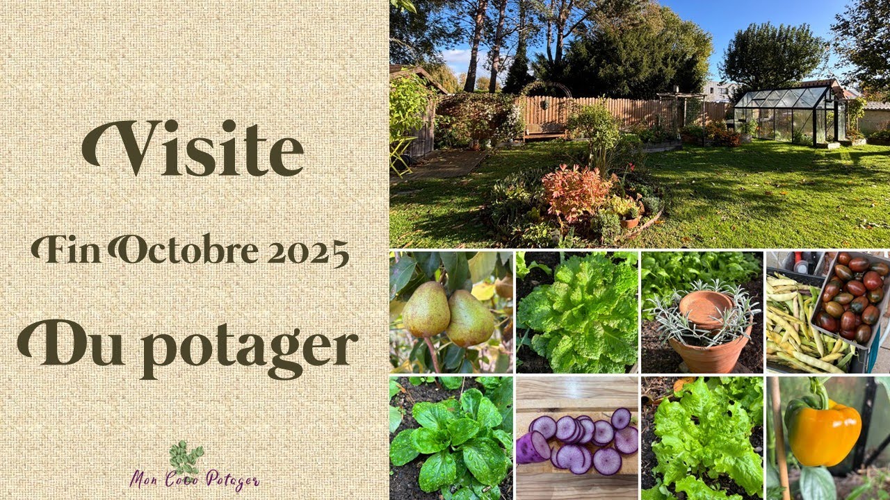 Visite du potager et de la serre fin Octobre 2025