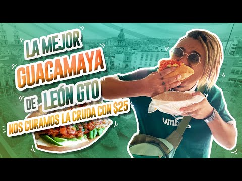 NOS CURAMOS LA CRUDA CON $25 PESOS - Lalo Elizarrarás.