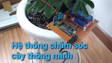 Thi công hệ thống chăm sóc tưới cây trồng tự động thông minh ioT 4.0