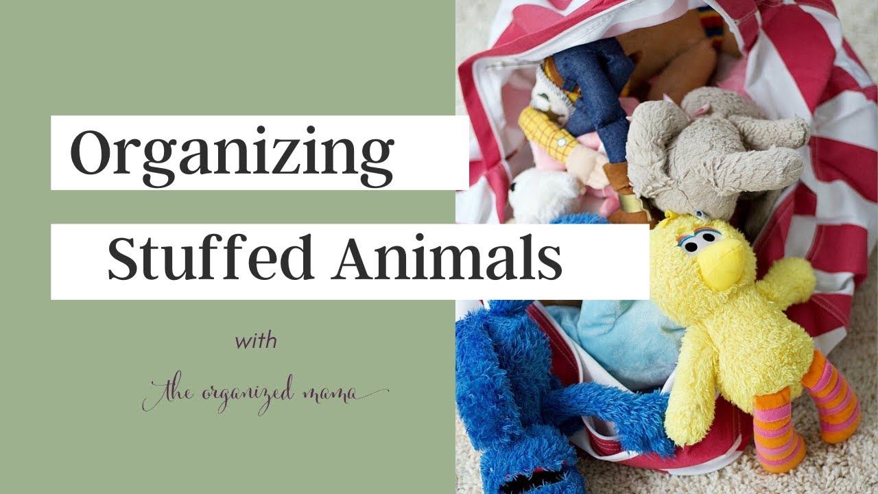 Successfully Controlling Stuffed Animal Clutter with a Craft